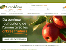 Tablet Screenshot of grandiflora.fr